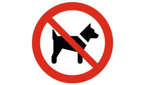 Ilustracja artykułu: "Zakaz wprowadzania psów"